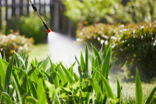 Tamper-Resistant Bait Stations for Rodents in Glenmont