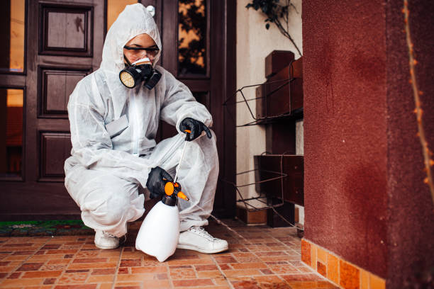 Attic and Crawl Space Rodent Treatment in Glenmont