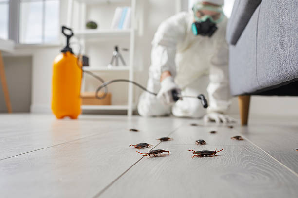 Commercial Rodent Management in Glenmont